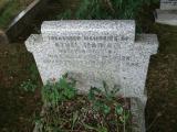 image of grave number 82915